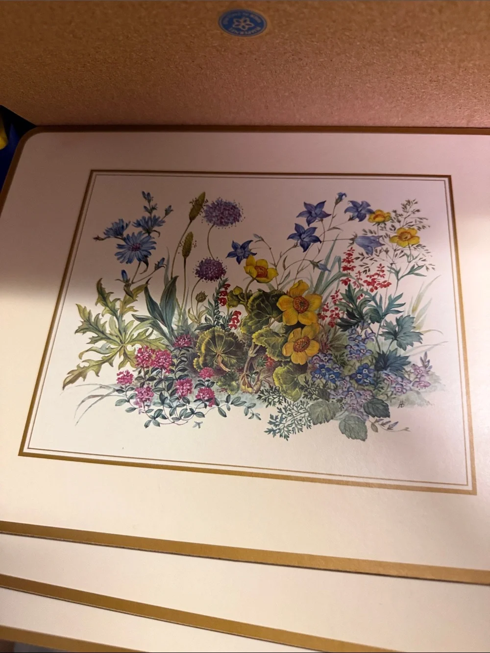 Pimpernel set botanical